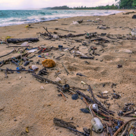 Big Beach Cleaning Day, Sirinat National Park